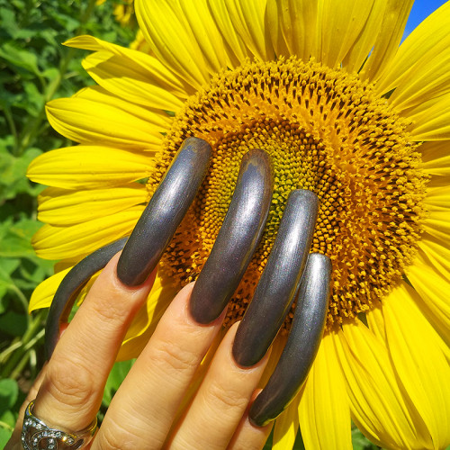 Sunflowers and new manicure (pedicure) 