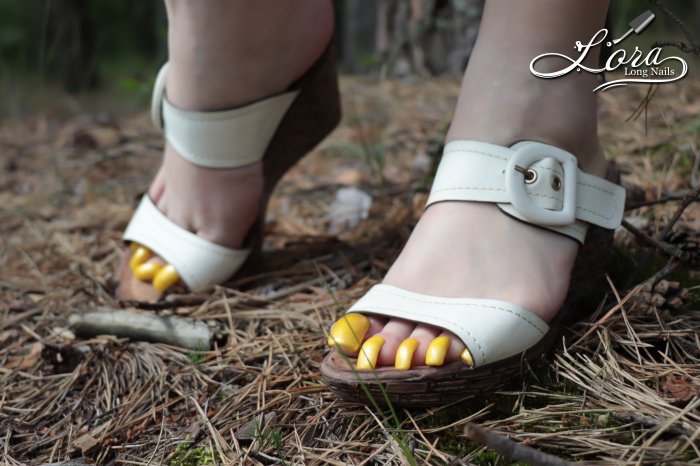 Photo report of the trip to the city of Baturin