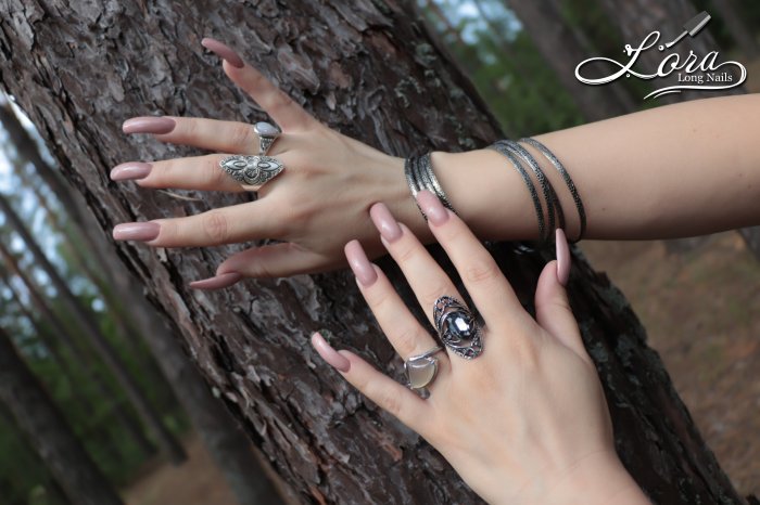 Photo report of the trip to the city of Baturin