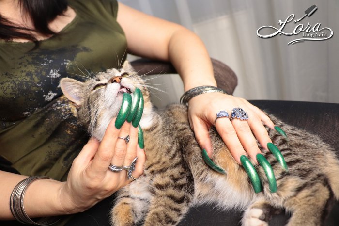 Photoshoot "Long green nails and my pussy "MoorKissa"