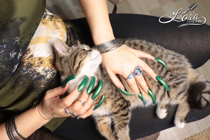 Photoshoot "Long green nails and my pussy "MoorKissa"