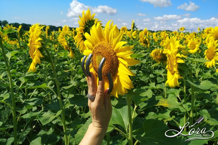 🌻 Sunflowers 🚗 Car and LONG NAILS