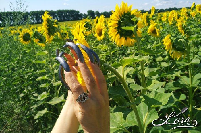 🌻 Sunflowers 🚗 Car and LONG NAILS