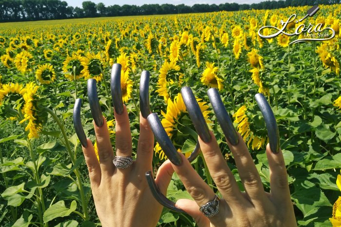 🌻 Sunflowers 🚗 Car and LONG NAILS