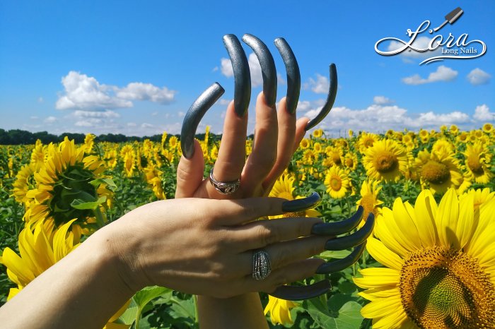 🌻 Sunflowers 🚗 Car and LONG NAILS