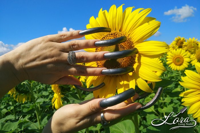 🌻 Sunflowers 🚗 Car and LONG NAILS