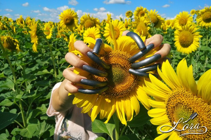 🌻 Sunflowers 🚗 Car and LONG NAILS
