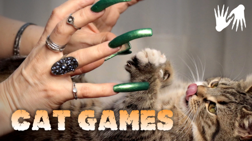 CAT GAMES ASMR