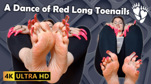 Nail Rhythm: A Dance of Red Long Toenails & Tapping