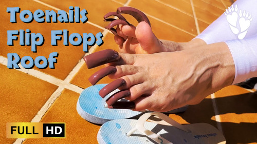 ToeNails, Flip Flops, Roof