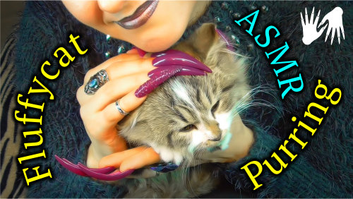 ASMR for sleep 💤 Cat purring 🐱 My  Fluffy * Long nails scratching