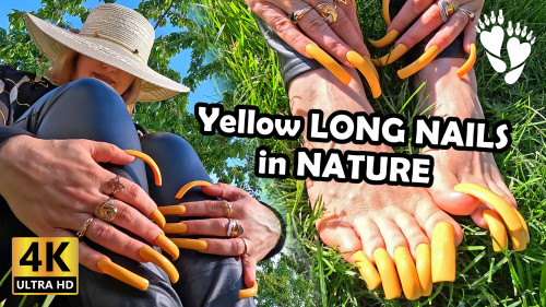 Yellow LONG NAILS in 🌼 NATURE