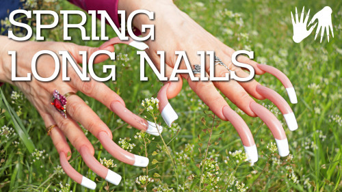 LONG NAILS FRENCH 🌼 SPRING