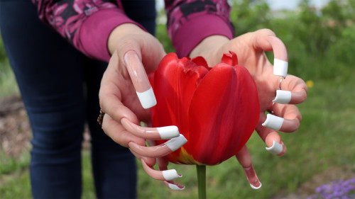 🌼 Spring photo session NAILS FRENCH