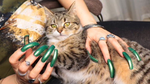 Photoshoot "Long green nails and my pussy "MoorKissa"