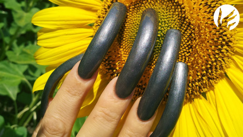 Photosession 🌻 Sunflowers 🚗 Car and LONG NAILS